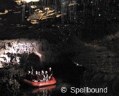 Spellbound Glowworm and Cave Tours